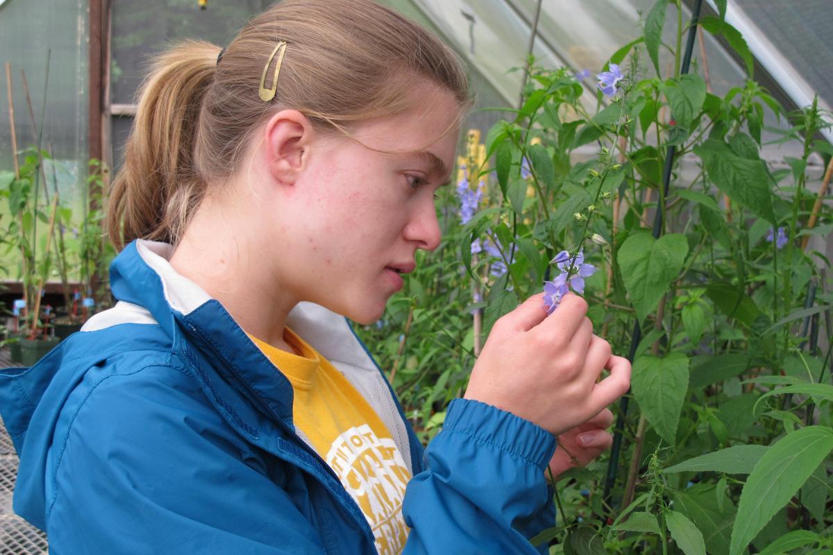 Mountain Lake Biological Station's Research Experiences - The Participants