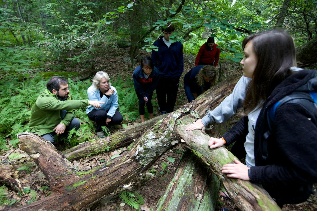 Mountain Lake Biological Station