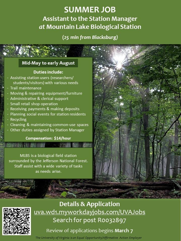 Hiring for Summer 2022!