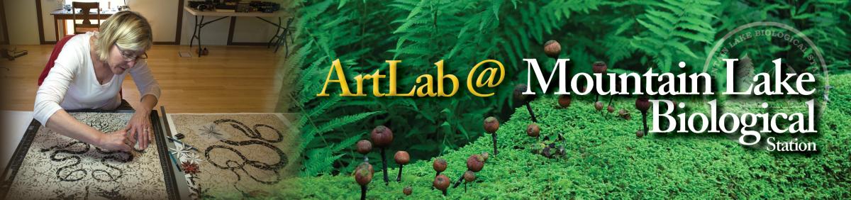 ArtLab @ Mountain Lake Biological Station