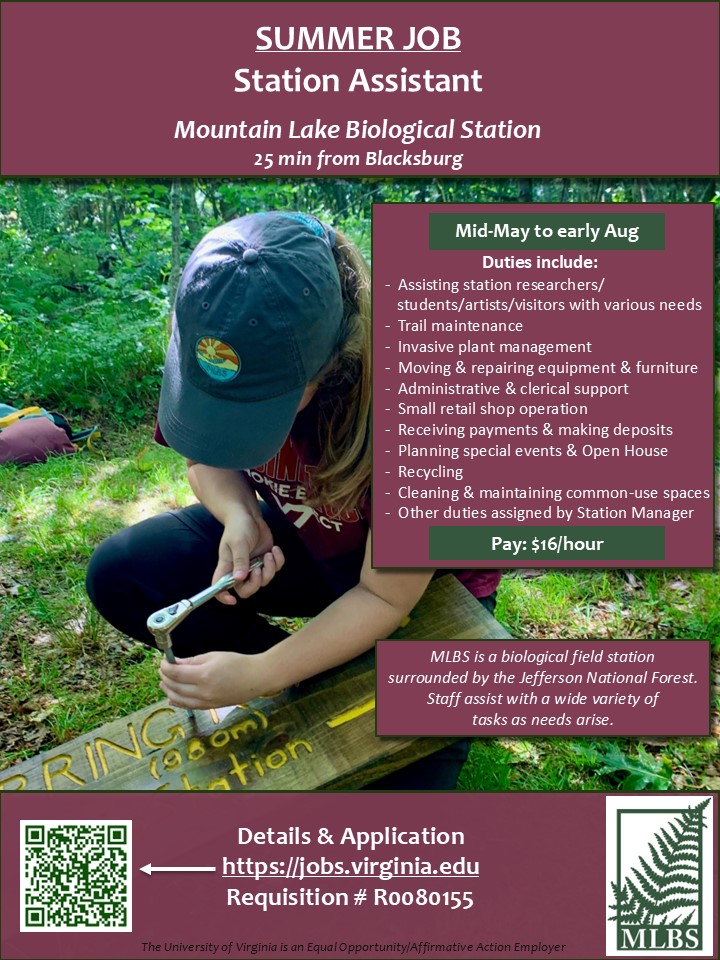 Summer Assistant job