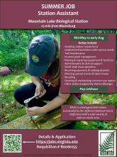 Summer Assistant job