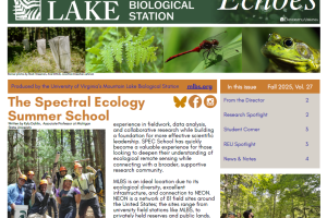 Screenshot of the fall 2025 newsletter