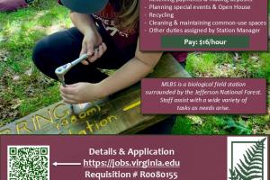 Summer Assistant job