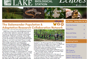 Screenshot of the Spring 2026 newsletter