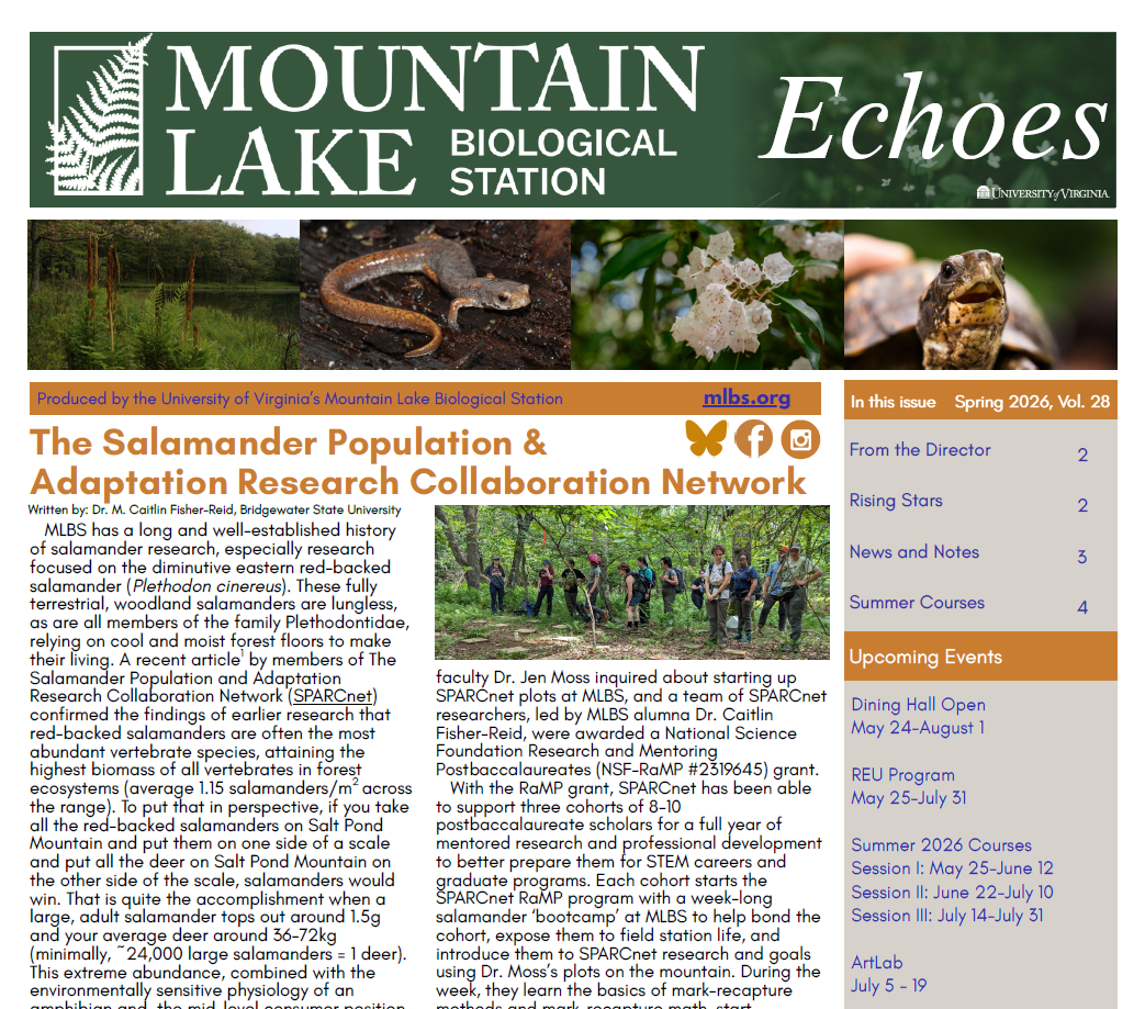 Screenshot of the Spring 2026 newsletter